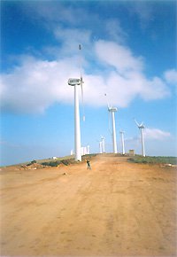 parque eolico.jpg